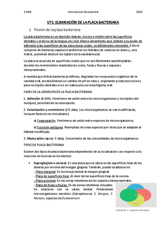 Apuntes UD1.pdf