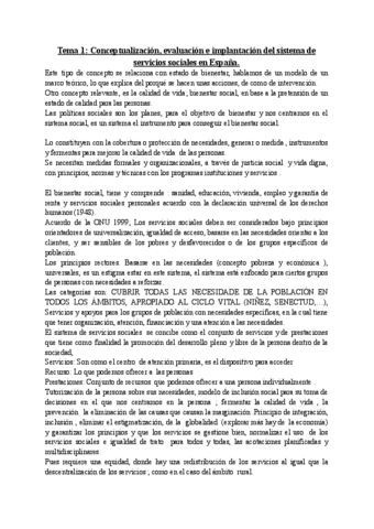 Servicios-Sociales-.pdf
