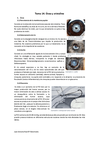 Tema-14.pdf