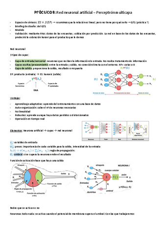 Practica-8-apuntes-y-ejercicios-clase-y-examen.pdf