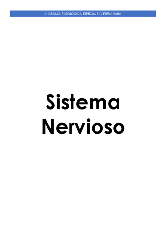 Sistema-Nervioso-.pdf