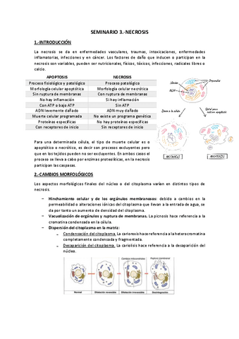 Seminario 3.-Necrosis.pdf