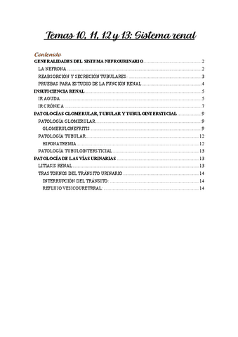 Temas-10-13-Renal.pdf