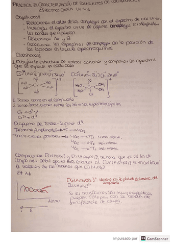 Practica-2-quimica-inorganica-avanzada.pdf