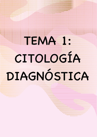 Resumen-Tema-1-1.pdf