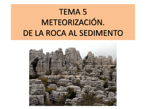 TEMA-14-ESQUEMA-1.pdf