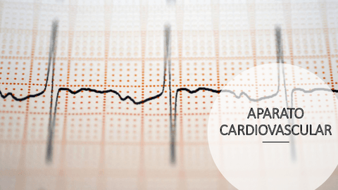 Aparato-cardiovascular.pdf