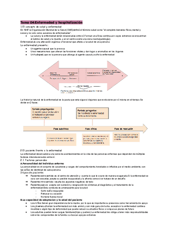 tema-4-promo.pdf