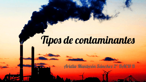 Tipos-de-contaminacion-.pdf