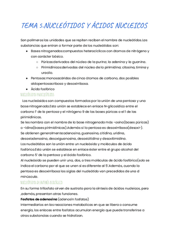 TEMA-5.pdf