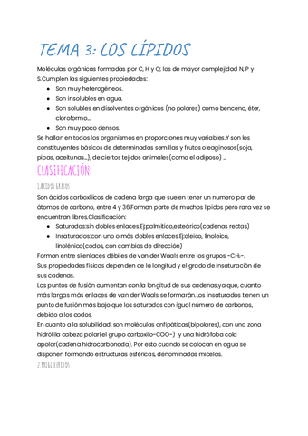 TEMA-3-LOS-LIPIDOS.pdf