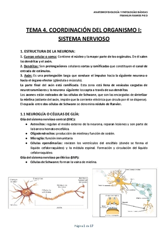 TEMA-4.pdf