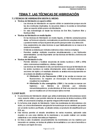 TEMA-7.pdf