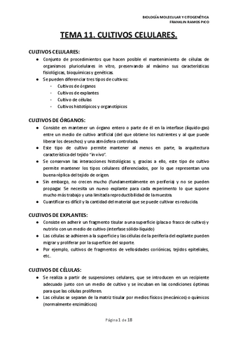 TEMA-11.pdf