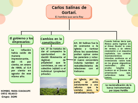 Carlos-Salinas.pdf