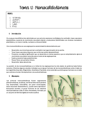 Tema-12-botanica.pdf