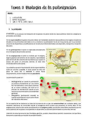 Tema-11-botanica-.pdf