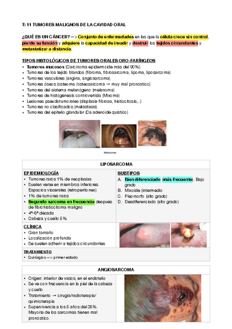 maxilo-11.pdf