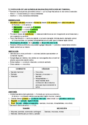 maxilo-3-y-4.pdf