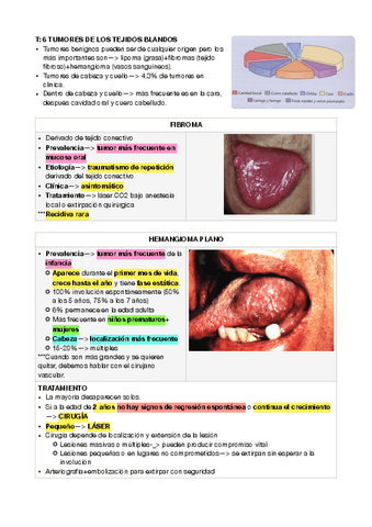 maxilo-6-y-7-y-8.pdf