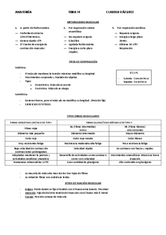 apuntes-tema-14.pdf