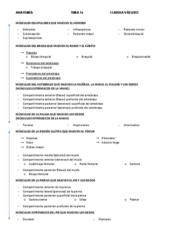 apuntes-tema-16.pdf