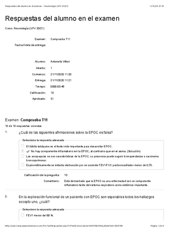 TEMA-11-RESPI.pdf