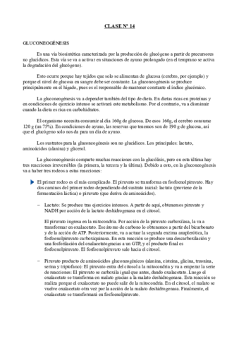 Clase 14- Bioquímica.pdf