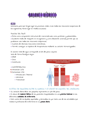 Balance-hidrico-.pdf