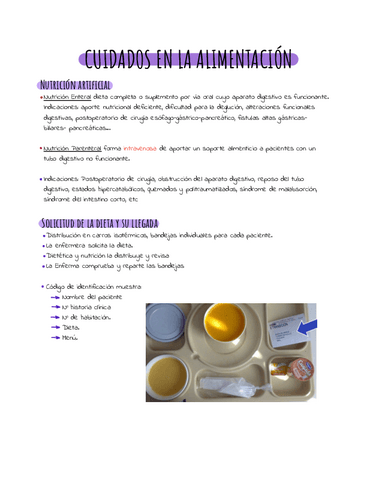 Alimentacion-.pdf