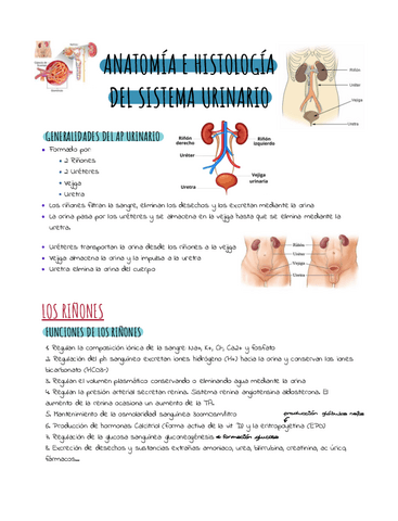 Anatomia-sist.pdf