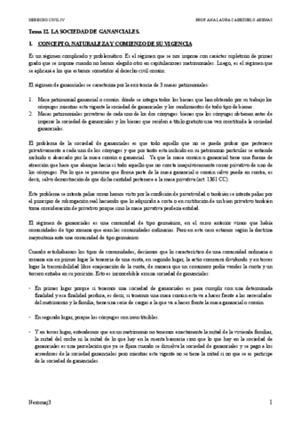 TEMA-12-CIVIL-IV-.pdf