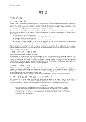 HOMHUM-PROCESO.pdf