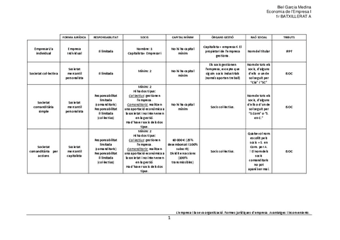 L-empresa-i-la-seva-organitzacio.pdf