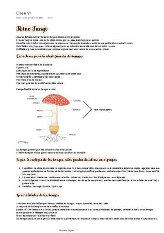 Reino-Fungi.pdf