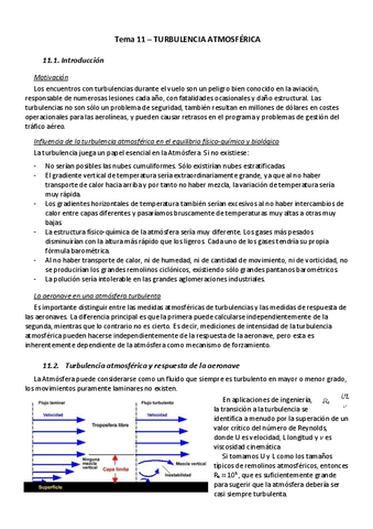 Tema-11.pdf