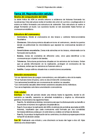 Tema-10.pdf