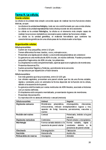 Tema-9.pdf