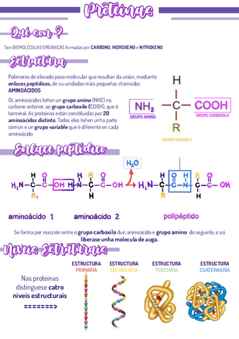 BIOMOLECULAS-.pdf