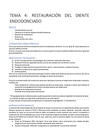 TEMA-4-PTD.pdf