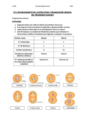 Preguntas tipo examen UD1.pdf