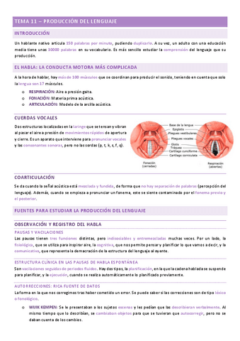pensamientoylenguaje-tema-11.pdf