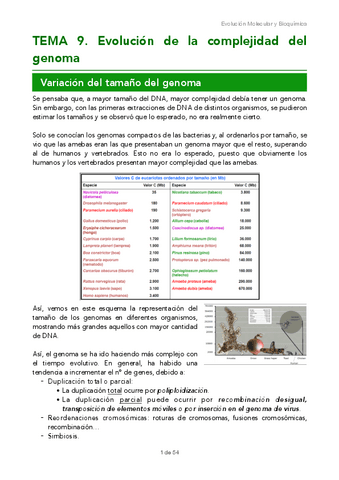 TEMA-9.pdf