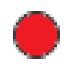 roja.jpg