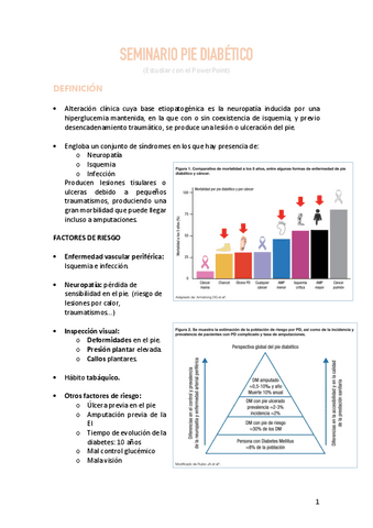SEMINARIO-PIE-DIABETICO.pdf