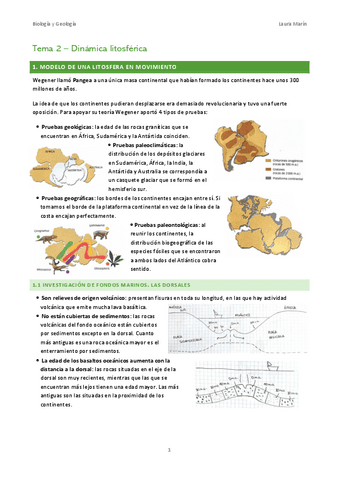 Tema-2-Dinamica-litosferica.pdf