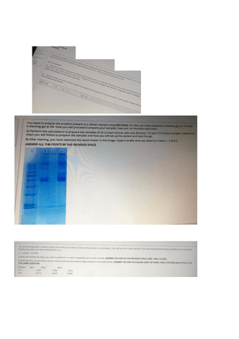 preguntas-teoria.pdf