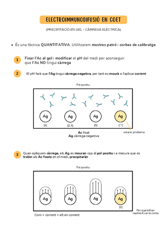 ELECTROIMMUNODIFUSIO-EN-COET.pdf