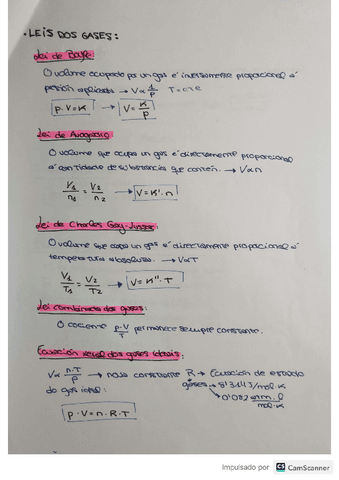 Leis-dos-gases-fyq-1-bach.pdf