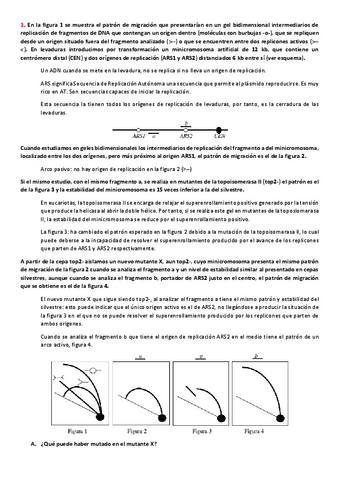 PROBLEMAS-1-a-7-y-27-a-31.pdf